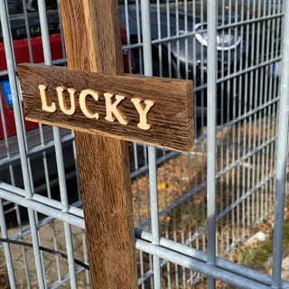 Anwohner in Ludwigshafen gedenken des erschossenen Chihuahua.