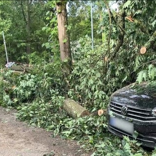 Ein Auto wurde von einem Baum beschädigt