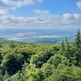 Der Donnersberg ist ein Ausflugsziel im Donnersbergkreis.