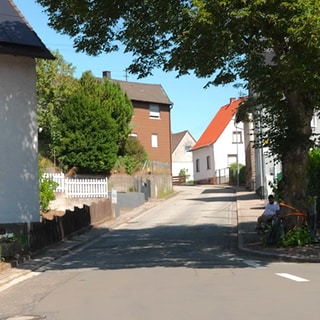 Die Trippstadter Straße in Stelzenberg