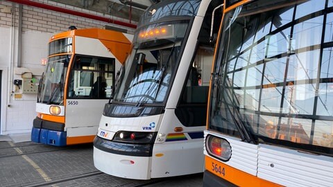 RNV-Straßenbahnen stehen im Betriebshof.
