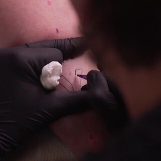 Nicht jeder bekam eins: kostenloses Gartenschautattoo
