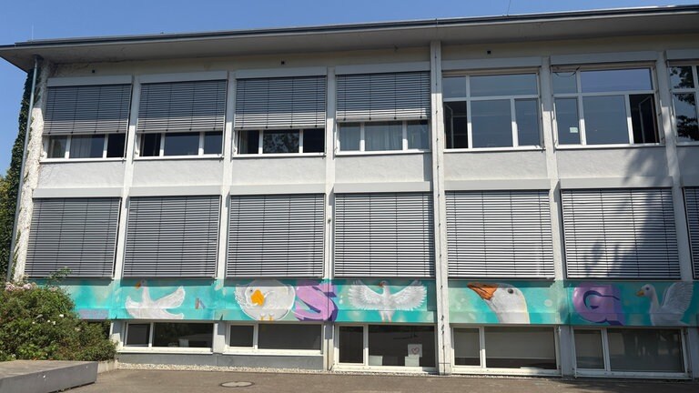 Ein Graffiti an einer Ulmer Schule. Einen Meter breit und 50 Meter lang. Weiße Gänse auf hellblauem Hintergrund.
