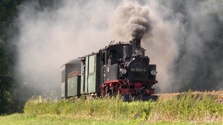 Die IVK 99 1584 ist seit August 2018 wieder im Einsatz. Der „Wilde Robert“, wie ihn der Volksmund nennt, hat seinen betrieblichen Mittelpunkt in Mügeln.