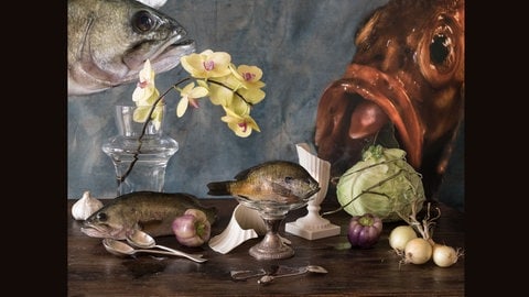 Vera Mercer, Broken Vase, 2019