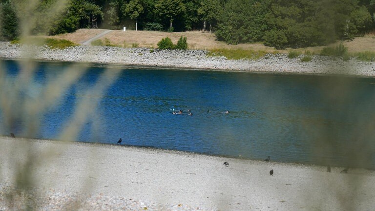 Niedrigwasser im Rhein: DLRG kann ihre Boote nicht mehr zur Rettung einsetzen