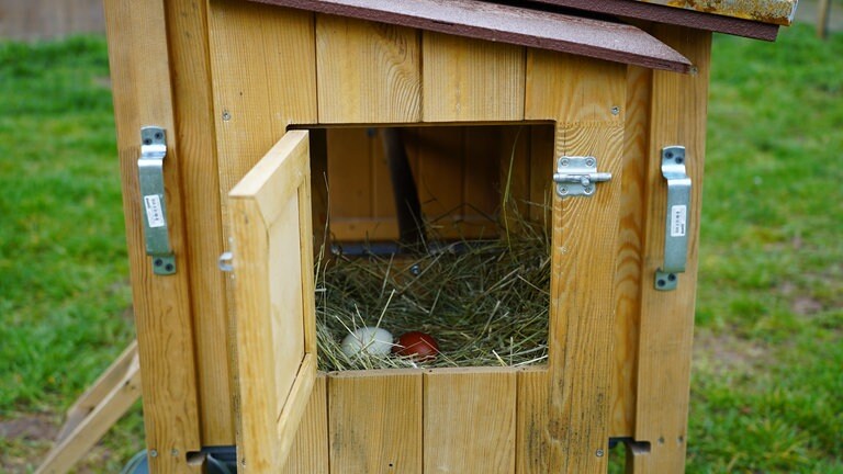 Stall, mit seitlicher Luke, in der ein Nest mit drei Eiern zu sehen ist