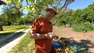 Imker Daniel Pfauth steht im Freien und spricht über die Infektion der Bienen durch die Varroamilbe 