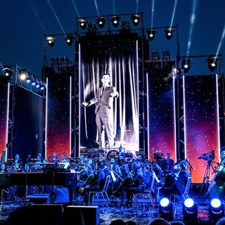 Armenian State Symphony Orchestra (2024)