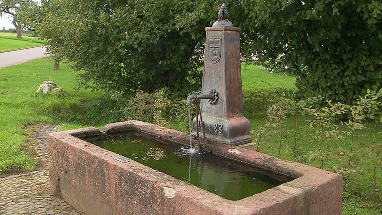 Alte Viehtränke