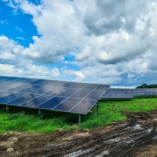Auf einer Wiese stehen mehrere Solarmodule. In Dieblich und Waldesch soll Mitte 2026 endlich der geplante Solarpark gebaut werden. 
