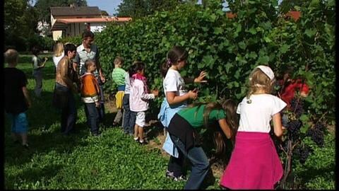 Kinder im Wingert