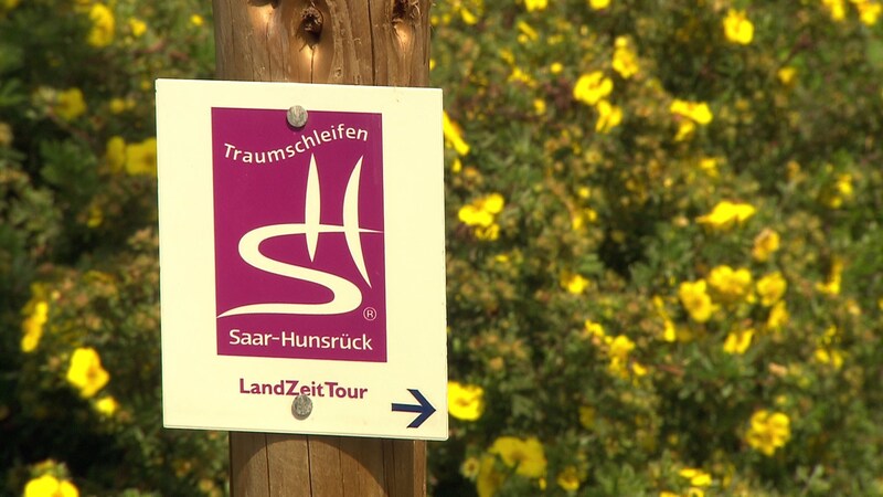 Schild Traumschleife