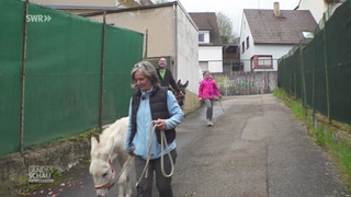 Birgit und ihre Esel