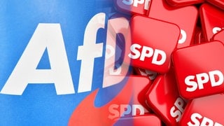 Die AfD liegt in RLP in einer Umfrage vor der SPD