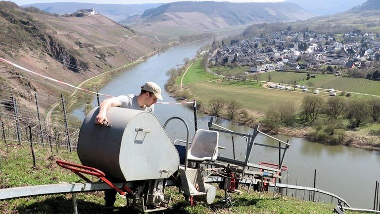 Blick auf die Moselschleife vom Pündericher Hangviadukt aus