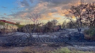Feuerschäden auf der Friesenheimer Insel