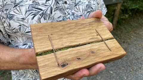 Zwei Bronzeklammern sind in einem Stück Holz zu sehen. So haben Menschen in der Bronzezeit Planken zusammengetackert.