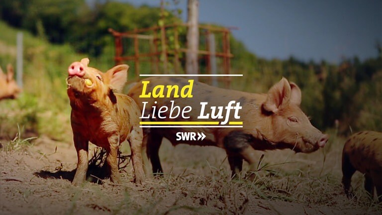 Land Liebe Luft
