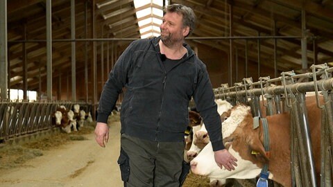 Landwirt Gerd Klett aus Nehren streichelt eine seiner Milchkühe. Kiloweise Hundekot wurden auf einer Wiese bei Dußlingen illegal entsorgt. 
