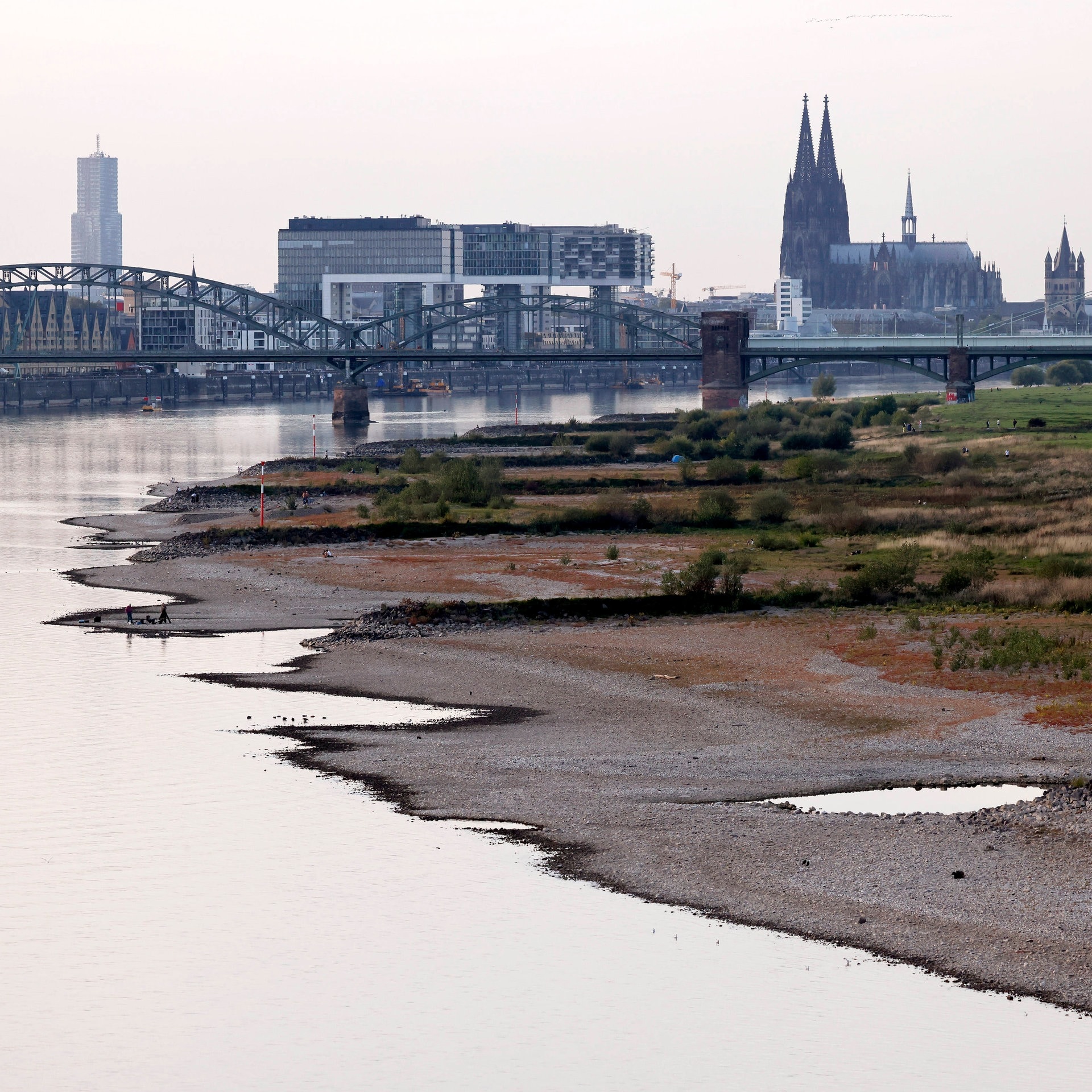 Niedrigwasser am Rhein - traurige Rekorde und keine guten Aussichten