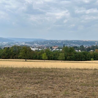 Rauch vom Waldbrand aus Belgien hängt über Zweibrücken