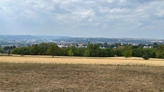 Rauch vom Waldbrand aus Belgien hängt über Zweibrücken