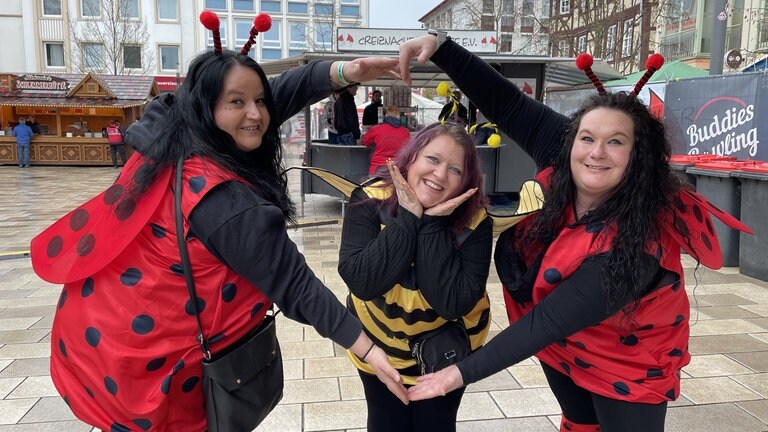 Die Insektengang: Zwei Marienkäfer und eine Biene mit einem großen Herz für die Fastnacht.