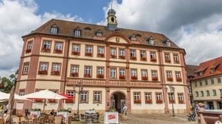 Das Rathaus auf dem Marktplatz von Neustadt. Am Sonntag entscheiden die Neustadter in der OB-Wahl, wer hier künftig seinen Amtssitz hat.
