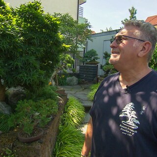 Ein Mann steht in einem Garten voller Bonsais. 