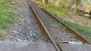 Bahnschiene bei Landau.