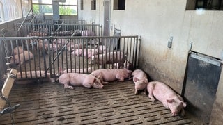 Schweinestall Kupferzell