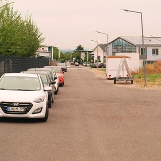 Auf dem Langloos in Kleinwinternheim