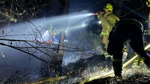 Einsatzkräfte bei einem Waldbrand in Bad Bergzabern