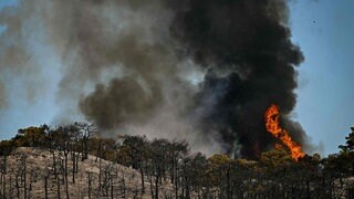 Die Waldbrände in Frankreich wüten noch immer. Der Rauch war am Wochenende zeitweise auch in Südbaden zu riechen, obwohl das Feuer über 700 Kilometer weit weg ist.