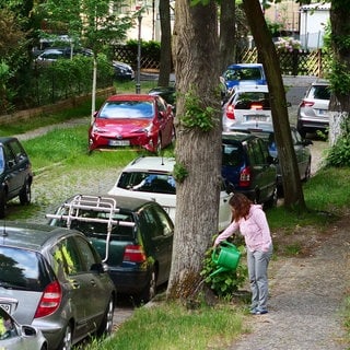 Eine Frau gießt einen Stadtbaum