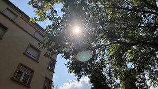 Der Pfälzer Platz in Pforzheim wurde umgebaut und soll dadurch zu einem kühleren Ort in der Stadt werden.