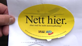 Dieser Aufkleber der AfD-Lantagsfraktion klebte an einem Autohaus in Hochdorf (Kreis Esslingen).