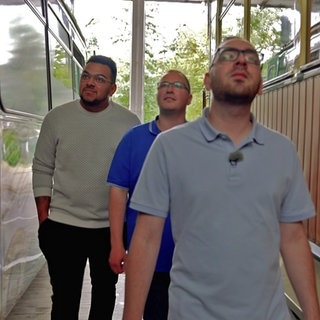 Die Straßenbahnfahrer Marco und Daniel Rungenhagen gehen mit einem Arbeitskollegen zwischen alten Straßenbahnen des Vereins Freunde der Freiburger Straßenbahn durch.