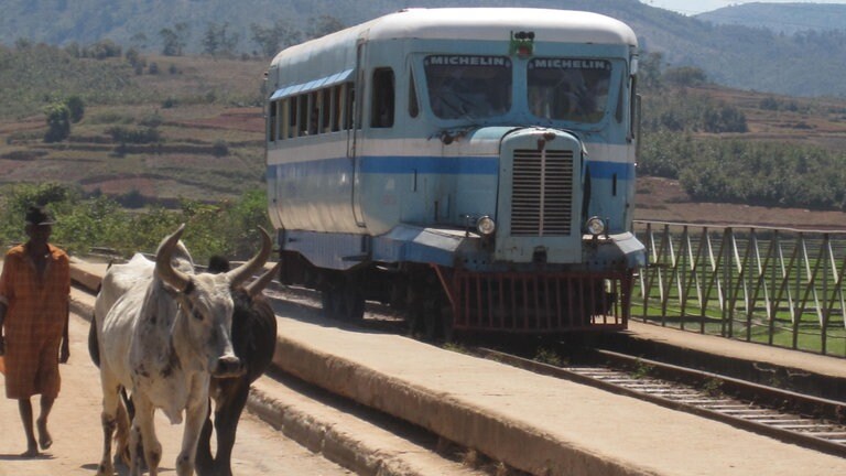 Jeder auf seiner Spur: die Zebus und die Micheline