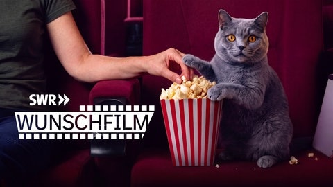 SWR „Samstag ist Wunschfilmzeit" – Filmklassiker im August