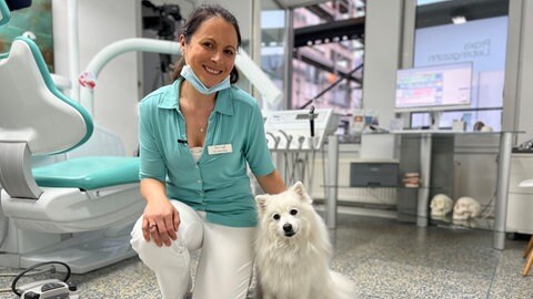 Therapiehund Jara sorgt dafür, dass Patienten vorm Zahnarztbesuch keine Angst mehr haben müssen.