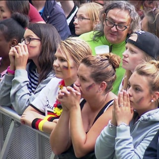 WM-Fans