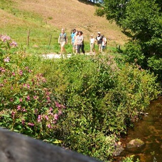 Eine Wandergruppe läuft an einem Bach vorbei. Es ist sonnig.