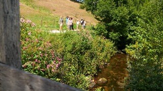 Eine Wandergruppe läuft an einem Bach vorbei. Es ist sonnig.