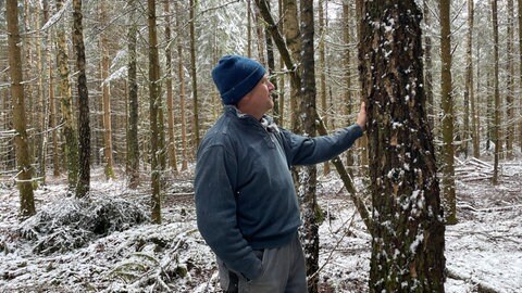Es schneit in seinem Wäldchen in der Nähe des Eschbachhofs. Martin Benzing berührt zufrieden den Stamm einer seiner Birken. Im Wald hat er sich immer die Kraft geholt, um seinen Hofs nach dem schweren Brand wieder aufzubauen.