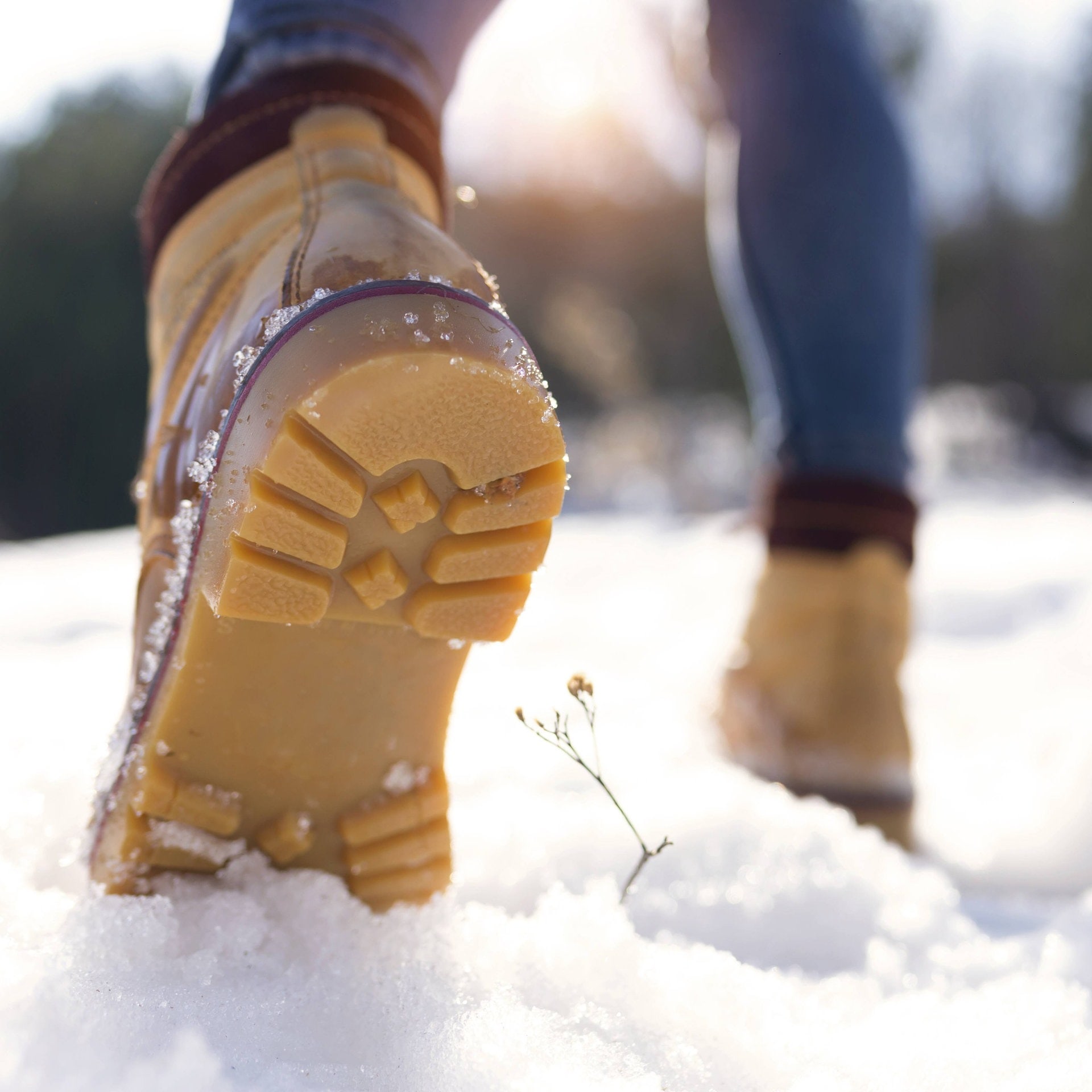 Warum knirscht Schnee? episode artwork