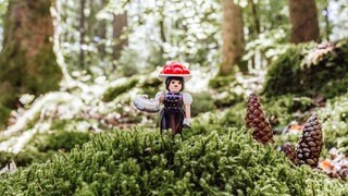 Mitte August war die Playmobil-Figur der "Schwarzwald Marie" schnell ausverkauft. Jetzt soll sie zurück kommen.