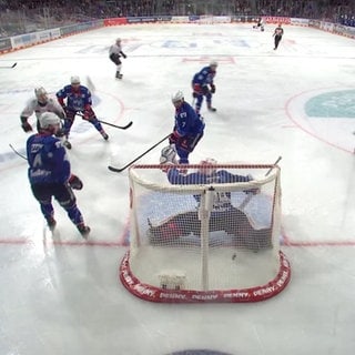 Adler Mannheim