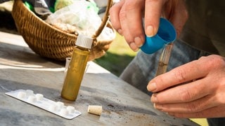 Boden im Garten mit einer Bodenanalyse verbessern